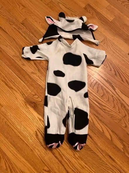 Photo of free Baby costumes (Haggerty and 7 mile) #4