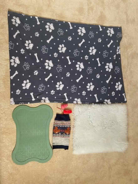 Photo of free Puppy/ small dog bundle (Histon, Cambridge) #1