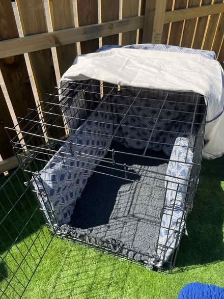 Photo of free Everything for your puppy (medium - large) (Flesher's Haugh G40) #1