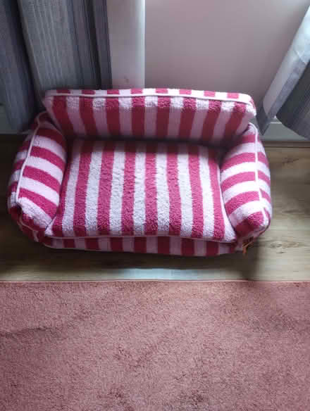 Photo of free Cat Sofa (Meersbrook S8) #1