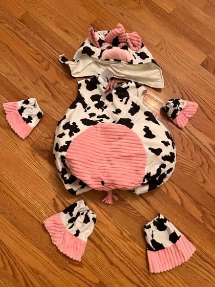 Photo of free Baby costumes (Haggerty and 7 mile) #3