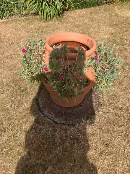 Photo of free Various garden pots (Thornbury BS35) #2