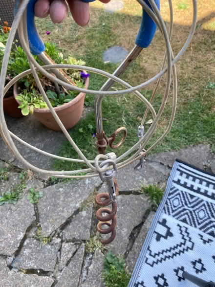Photo of free Screw into ground dog lead (TW14 bedfont) #2