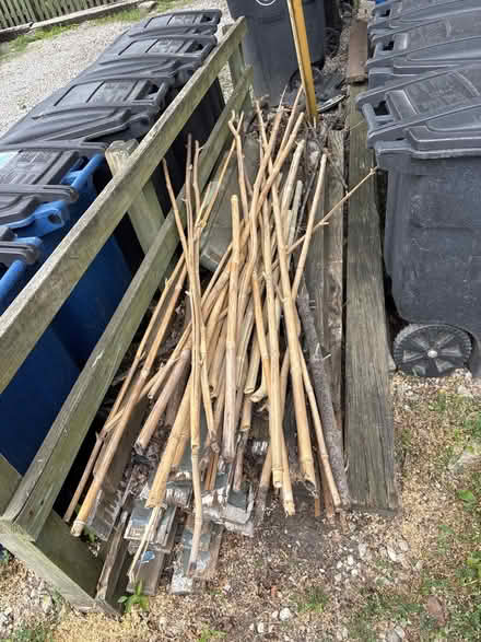 Photo of free Dead Bamboo 4 -20 feet (Ohio City - Waco Ct Wst of W30) #3