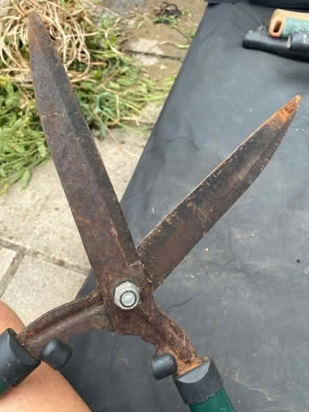 Photo of free Garden cutters (Queens Park W10) #2