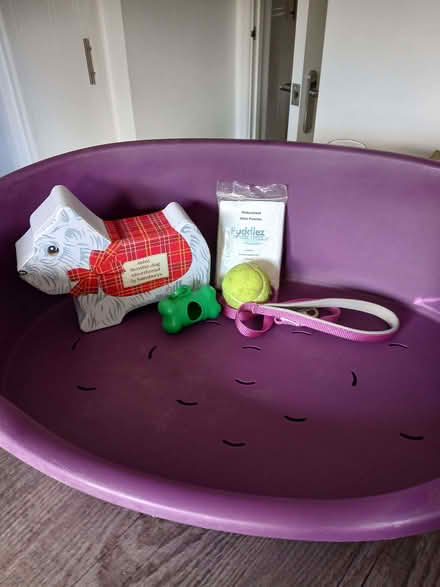 Photo of free Dog bed etc (Rydon Park EX2) #2