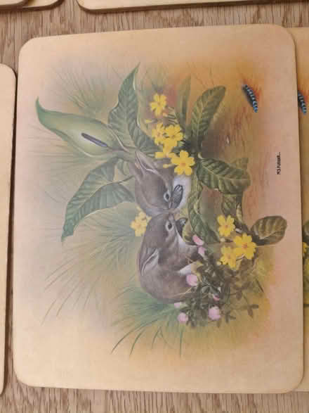 Photo of free Place mats (Jericho OX2) #2