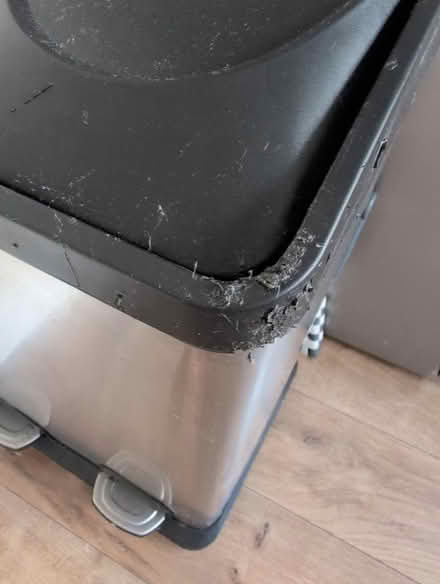 Photo of free Recycling Bin (Gregson Lane PR5) #2