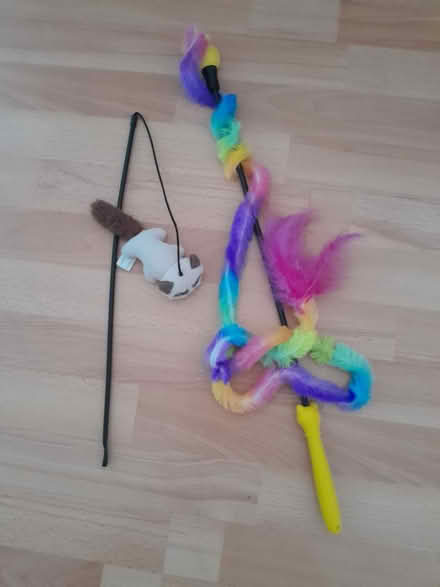 Photo of free Cat toys (B20) #1