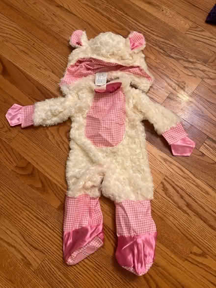 Photo of free Baby costumes (Haggerty and 7 mile) #2
