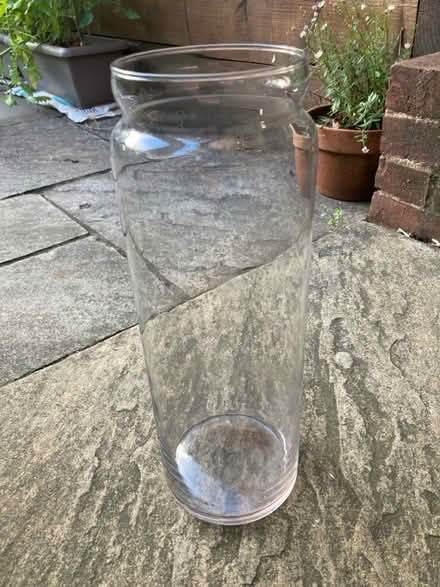 Photo of free Tall glass orchid jar (GL53) #1