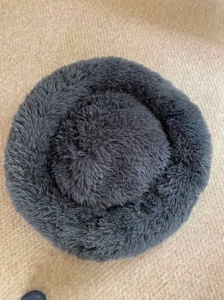 Photo of free Dog Bed (ME15 off Willington street) #1