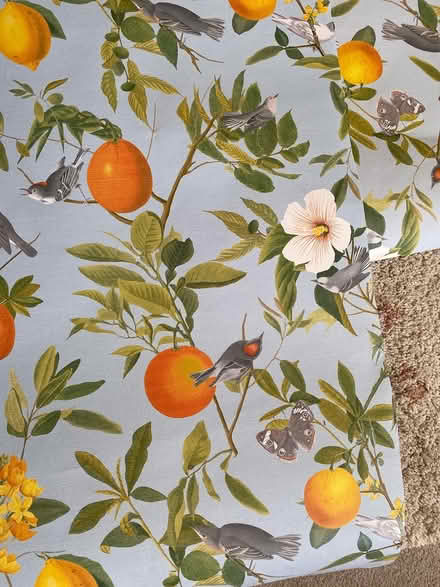 Photo of free Mediterránean wall paper (SG5) #2