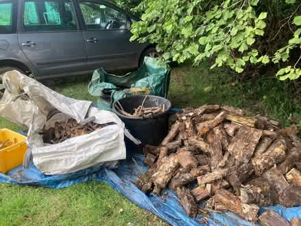 Photo of free Quantity of logs (Harrietsham ME17) #2