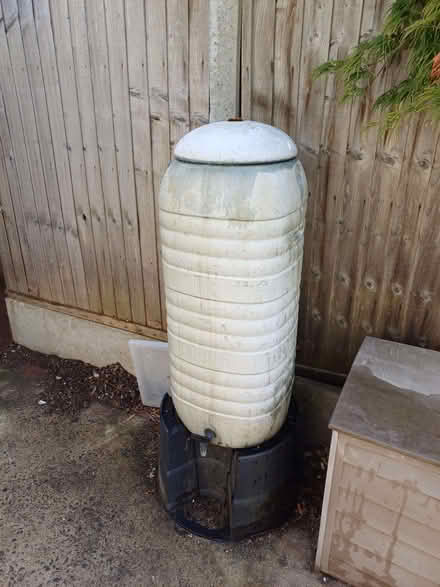 Photo of free Water Butt (Rayleigh SS6) #2