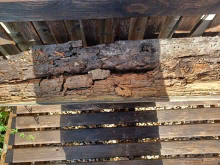 Photo of free Wood sleeper (Belper Town centre) #2