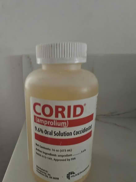 Photo of free Corid (North Miami Beach, 33162) #1