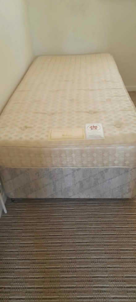 Photo of free Single bed (South ham RG22) #1
