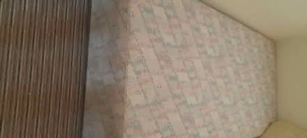 Photo of free Single bed (South ham RG22) #2