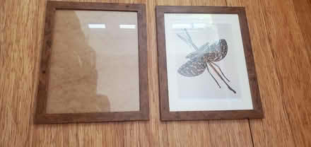 Photo of free 2 picture frames (Little Herberts GL53) #1