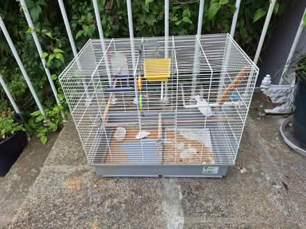 Photo of free Bird cage (Sallynoggin) #1