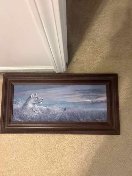Photo of free Pictures framed (Near Canton) #2