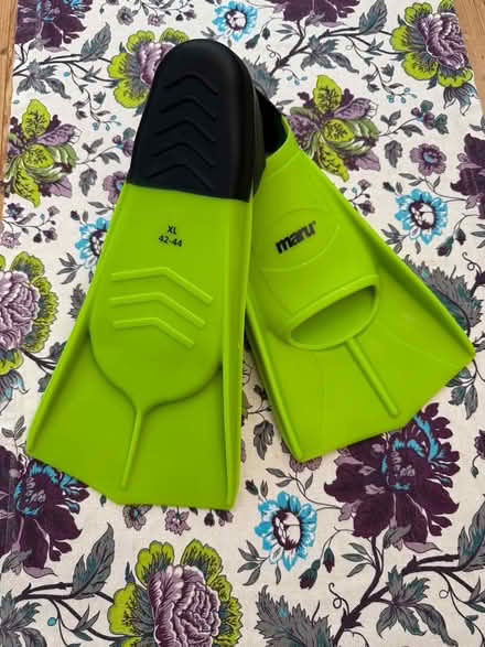 Photo of free Maru fins (Nettleham) #1