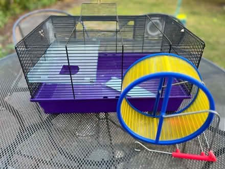 Photo of free Hamster cage and wheel (New Malden KT3) #2