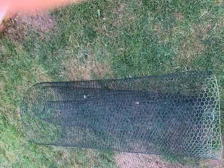 Photo of free Coated chicken Wire (St Mary's area, Higham NN10) #1