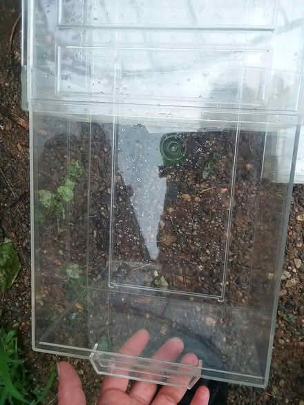 Photo of free Plastic shoe drawers (Sharon hill, PA) #1