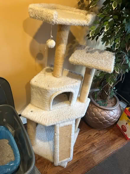 Photo of free Medium Cat Tree - 2nd generation (Cambria Heights/Jamaica) #2