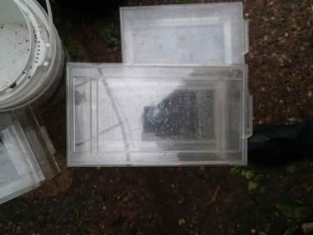 Photo of free Plastic shoe drawers (Sharon hill, PA) #2