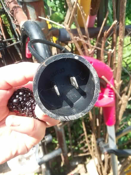 Photo of free Weed wackers (Sharon hill, PA) #2