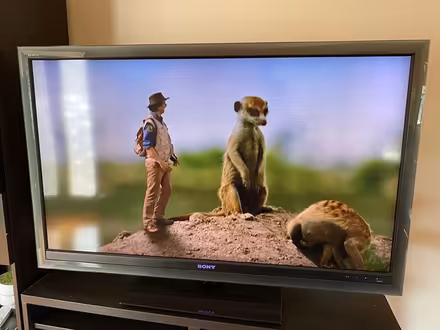 Photo of free Sony Bravia TV (Hurstville) #1