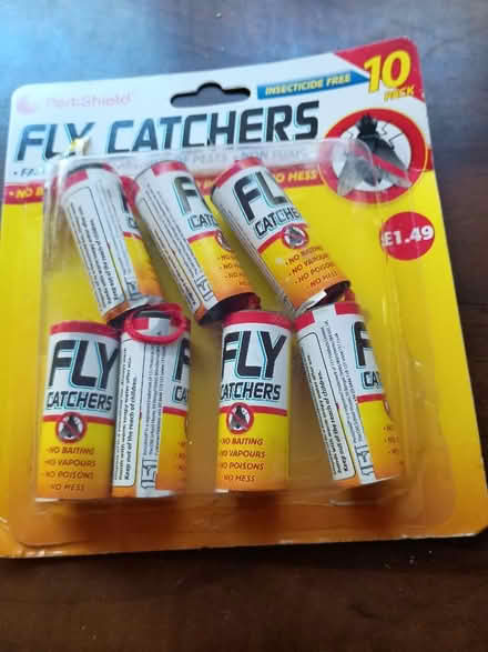 Photo of free Fly catchers (Fleet GU51) #1