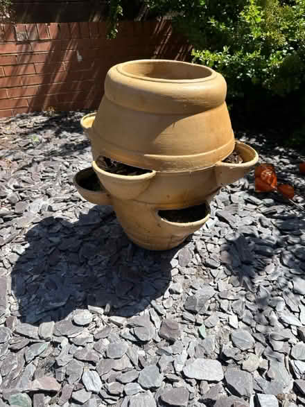 Photo of free Srawberry fruit and flower planter (Bromsgrove B60) #2