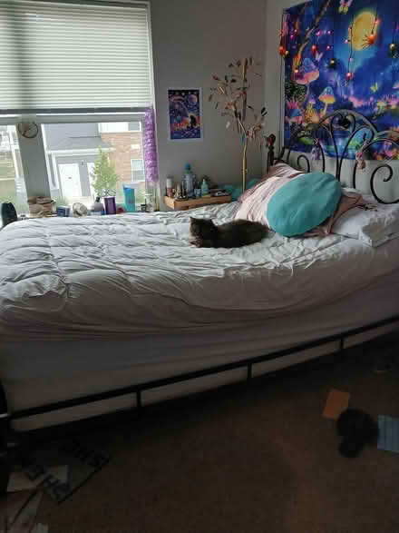 Photo of free Mattresses queen and twin (Reserve Apartments, Amtrack) #2