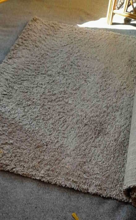 Photo of free Large cotton rug (Burnham on Crouch) #1