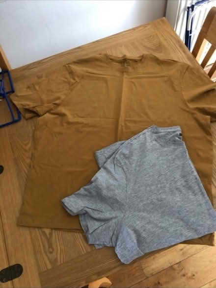 Photo of free Mens T-shirts x 2 (Cheshunt En8) #1
