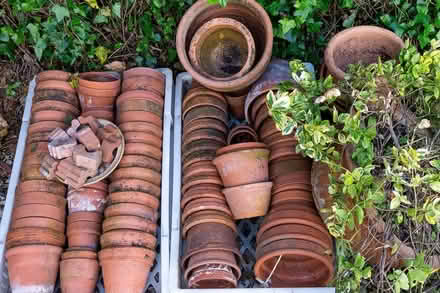 Photo of free Terracotta pots. Various Sizes. 50+ (Whitwell S80) #1