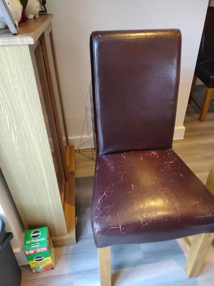 Photo of free Oak dining chairs (Bullbridge, Ambergate DE56) #2