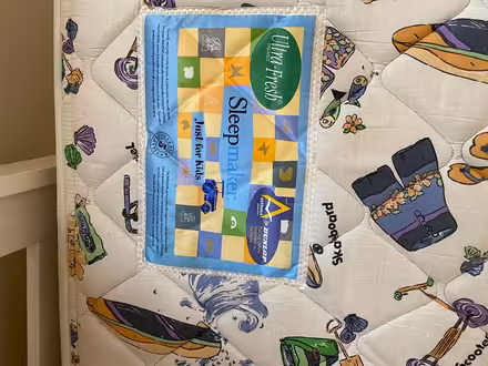 Photo of free Single bed and mattress (Hurstville) #3