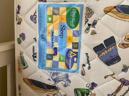 Photo of free Single bed and mattress (Hurstville) #3