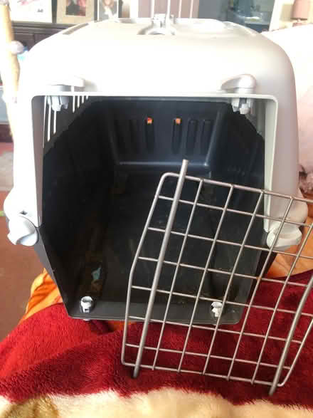 Photo of free Kitten/small cat carrier (Round Green LU2) #1