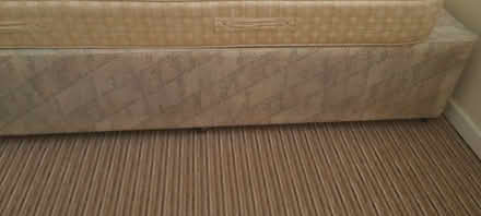 Photo of free Single bed (South ham RG22) #3