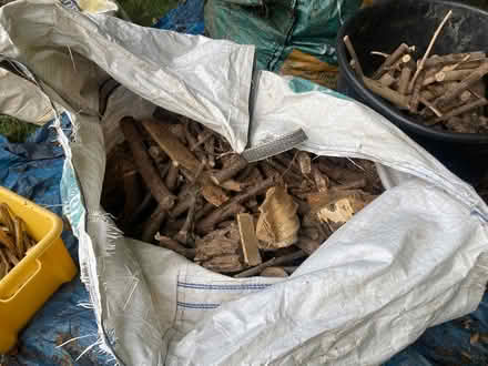 Photo of free Quantity of logs (Harrietsham ME17) #3