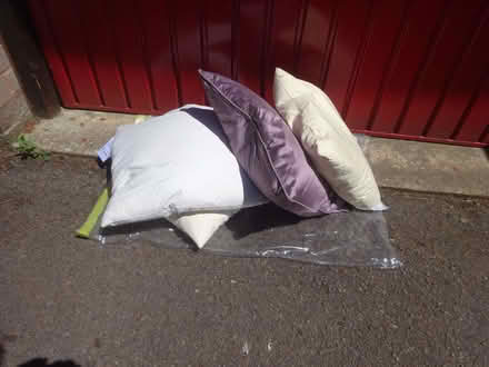 Photo of free Feather Cushions x 4 (Royal Wootton Bassett SN4) #1