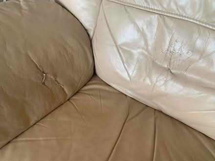 Photo of free 2 leather sofas (Paignton TQ4) #4