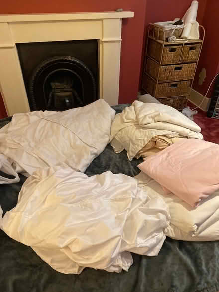 Photo of free Bed sheets (Seaside BN22) #1