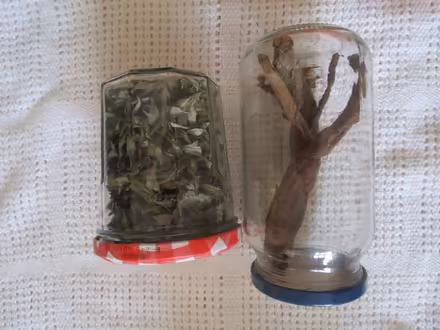 Photo of free Dried ingredients (Barnoldswick BB18) #1